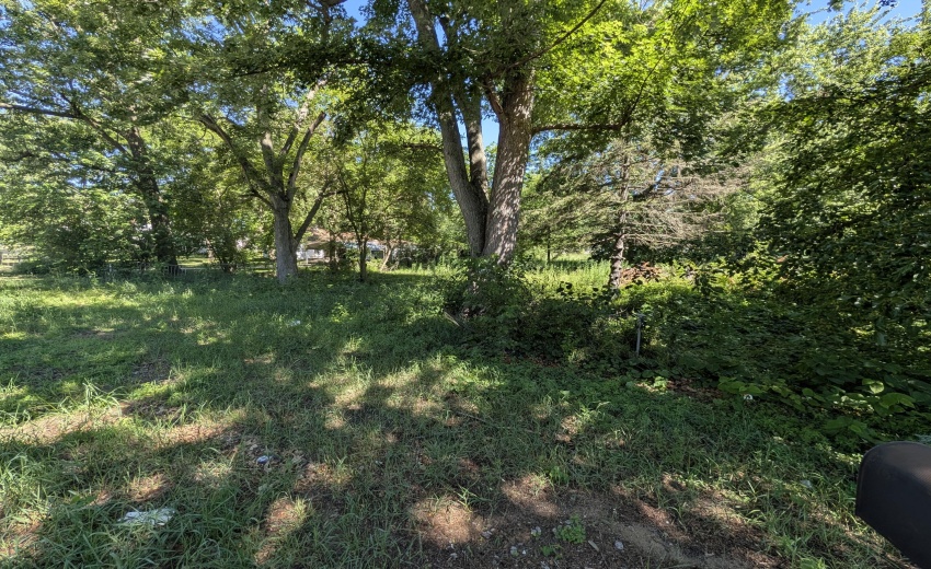PXL_20260612_150456661