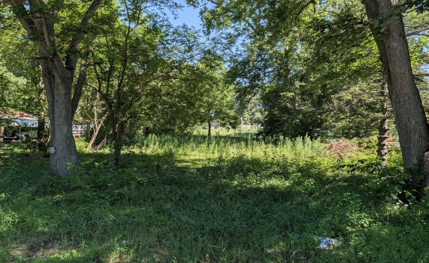 PXL_20260612_150517197