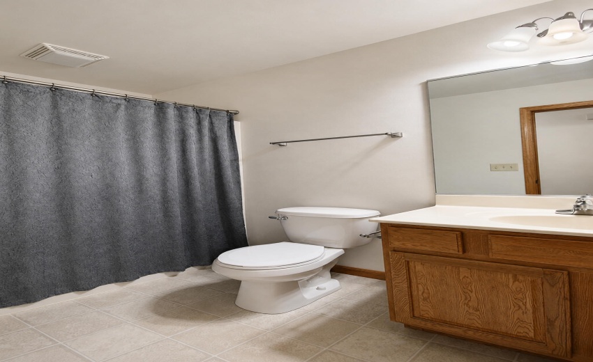 Hallway Bathroom