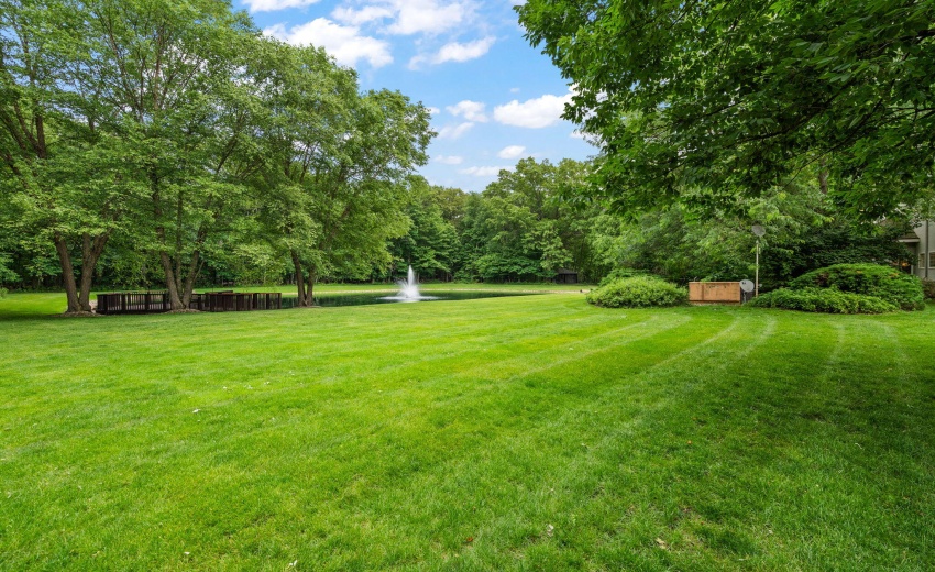 71-web-or-mls-DSC06650