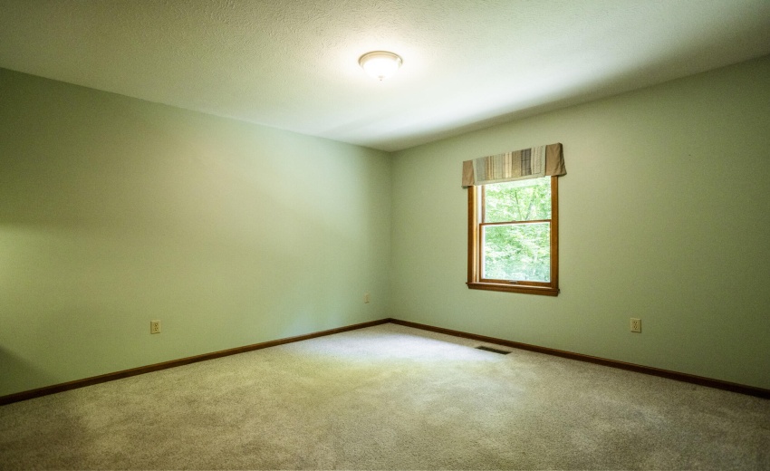53254 Monticola_117