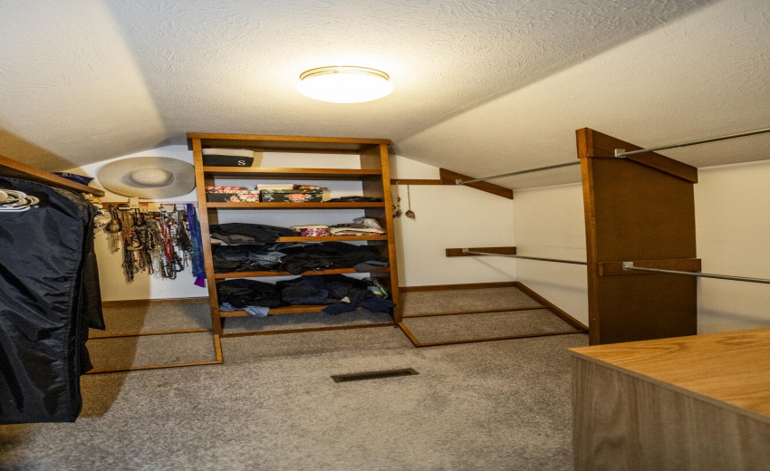 53254 Monticola_110