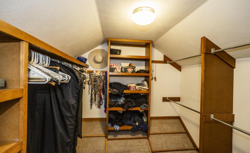 53254 Monticola_108