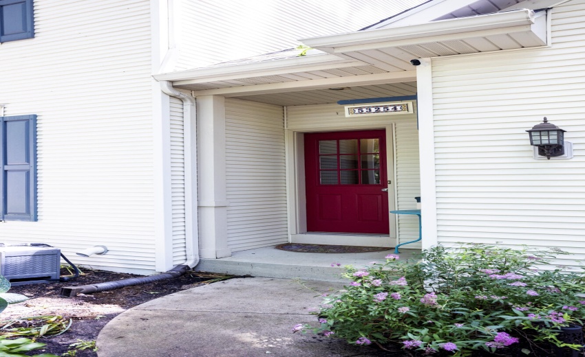 53254 Monticola_010