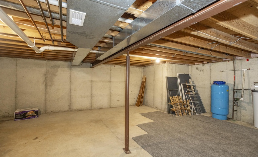 53254 Monticola_131