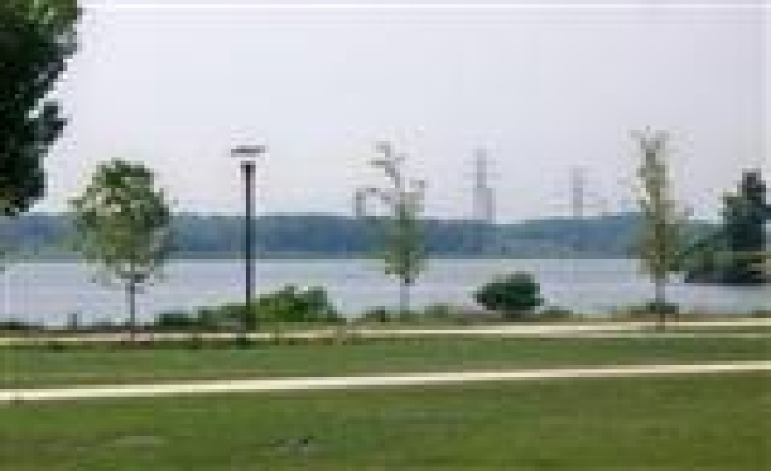 Wolf Lake 3