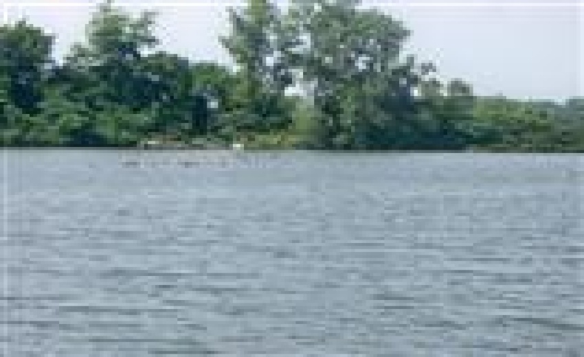 Wolf Lake 2