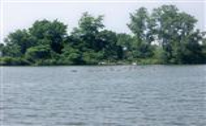 Wolf Lake 1