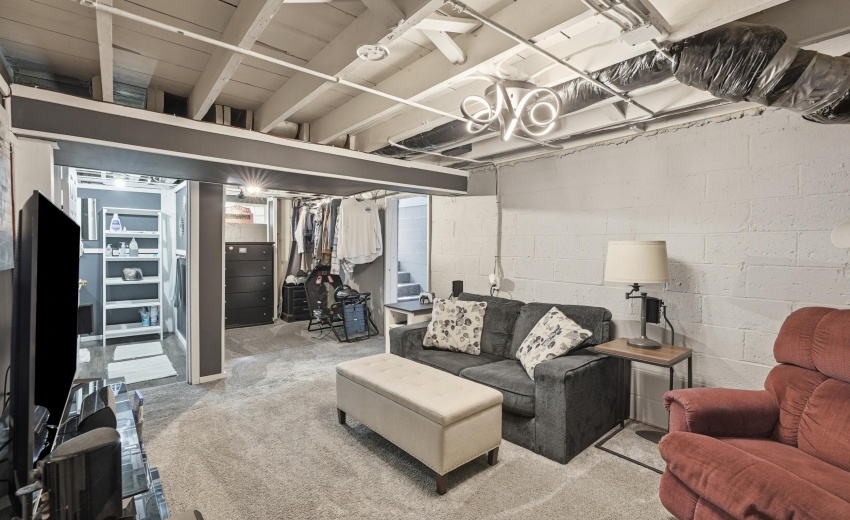 Basement Living Room Area