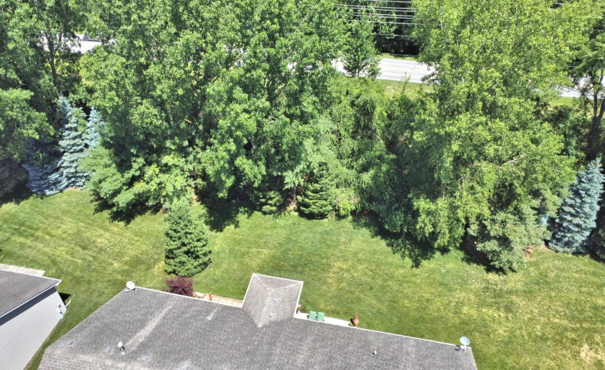Yard from above