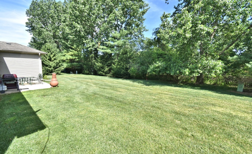 Back yard