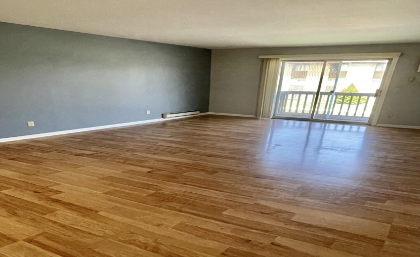 Living Room and Patio