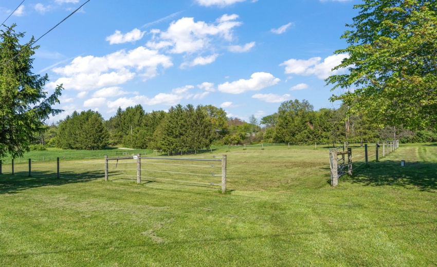 38-web-or-mls-DSC03969