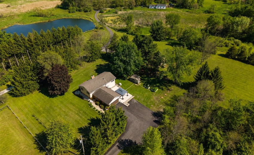Pond Overview