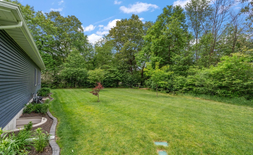 54-web-or-mls-DSC08585
