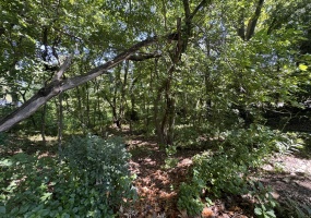 0 Ruth Street, Michigan City, Indiana, ,Land,For Sale,Ruth,NRA841026