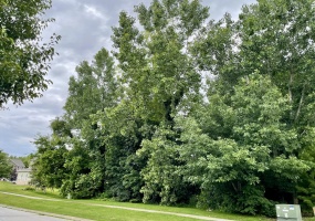887 Hemingway Trail, Valparaiso, Indiana, ,Land,For Sale,Hemingway,NRA841270