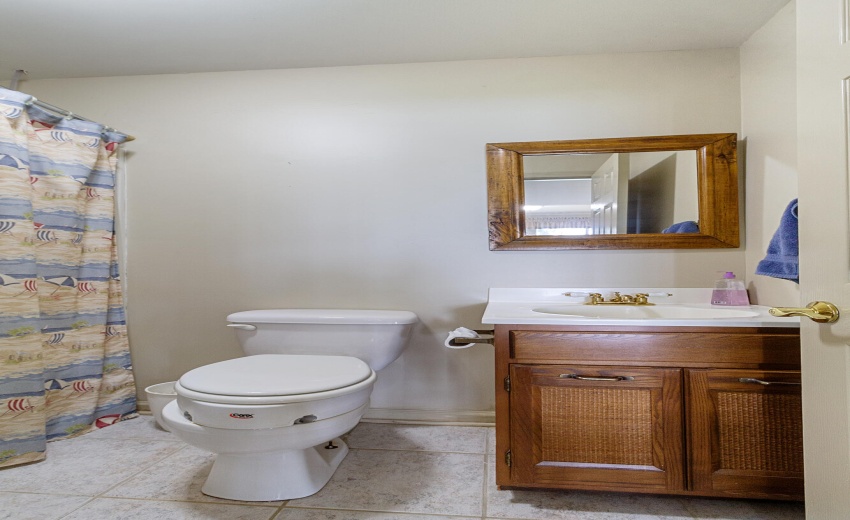 Lower Level Full Bath