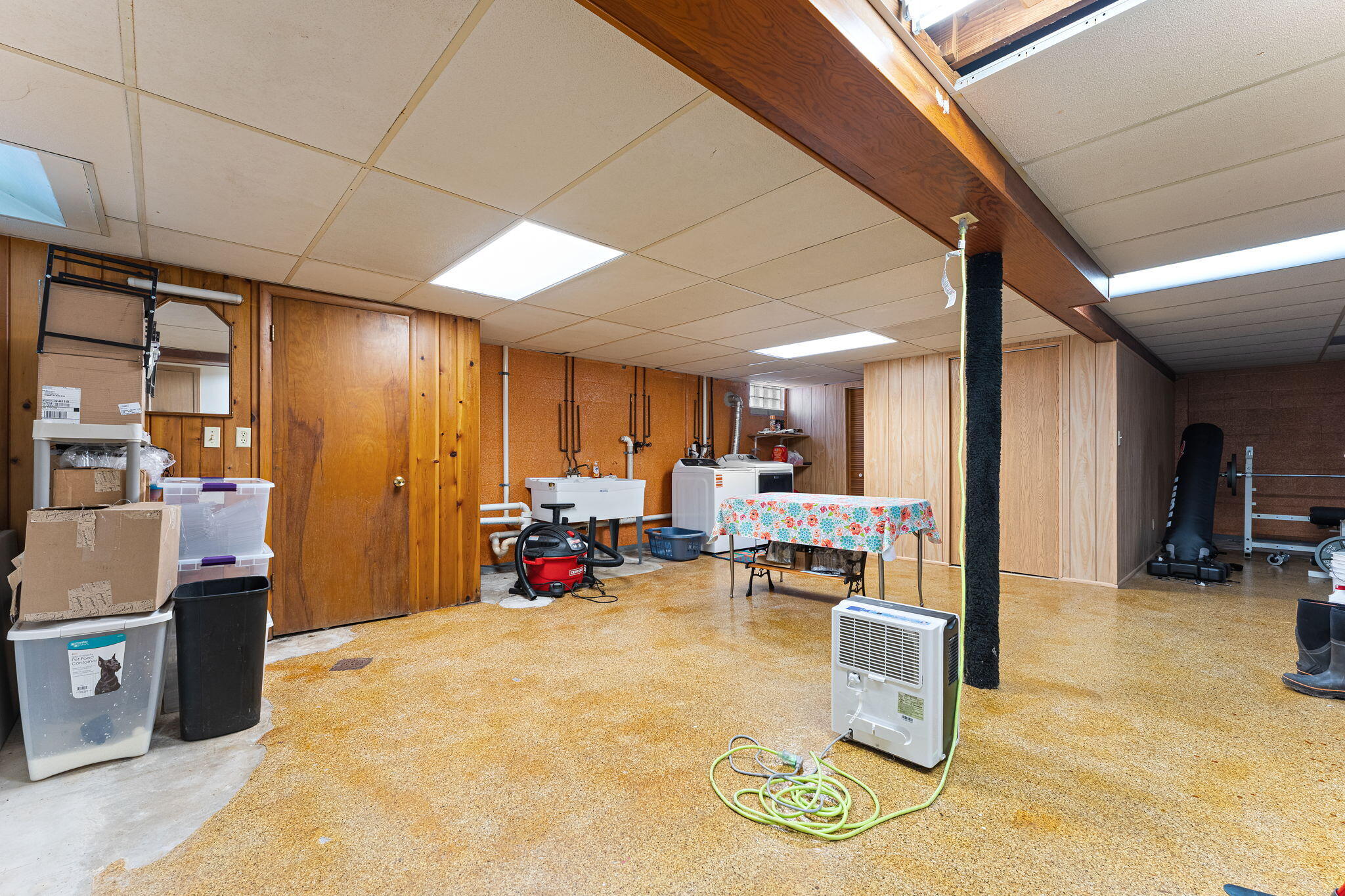 17-web-or-mls-DSC06501