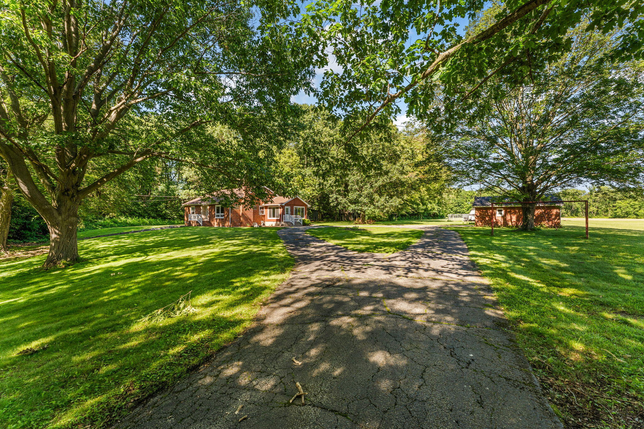 29-web-or-mls-DSC06610
