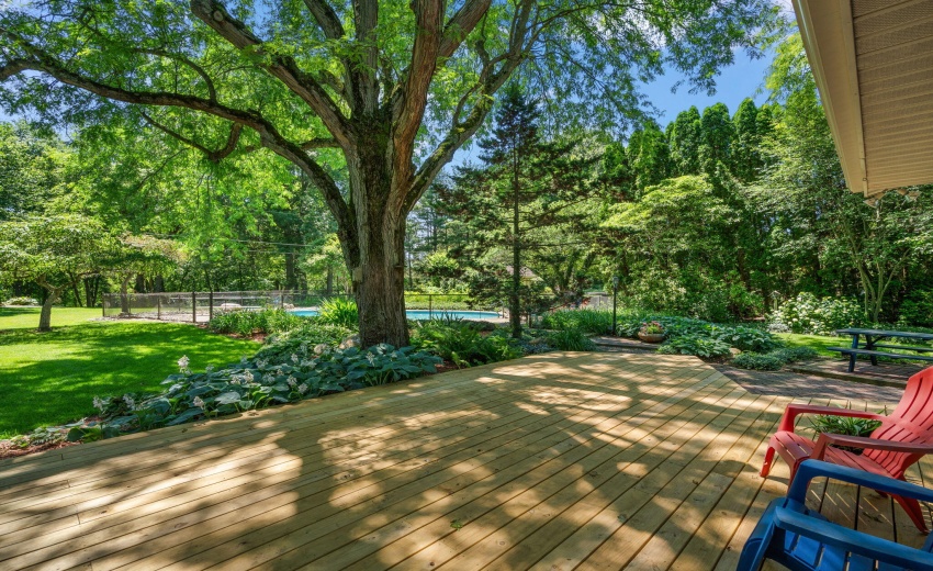 46-web-or-mls-DSC08500