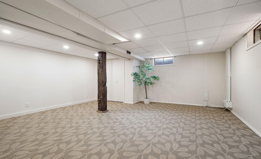 29-web-or-mls-DSC08429