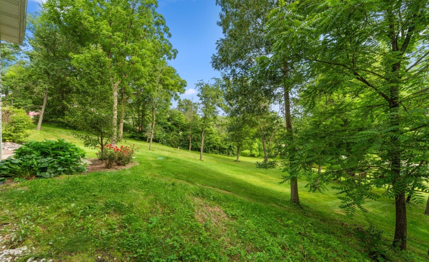 37-web-or-mls-DSC08752