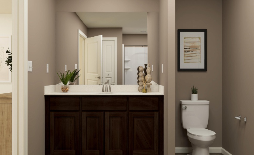 Owner's Bath