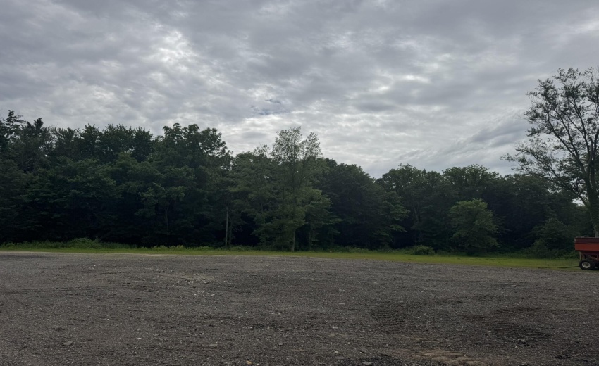 Edison land pic 3