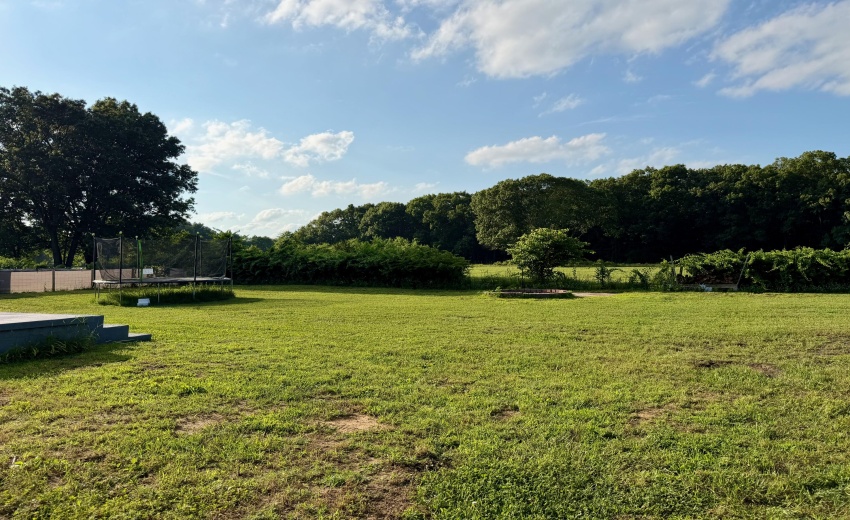 Yard