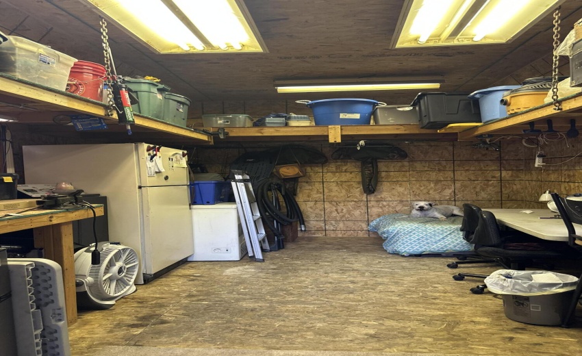 Shed - 74th