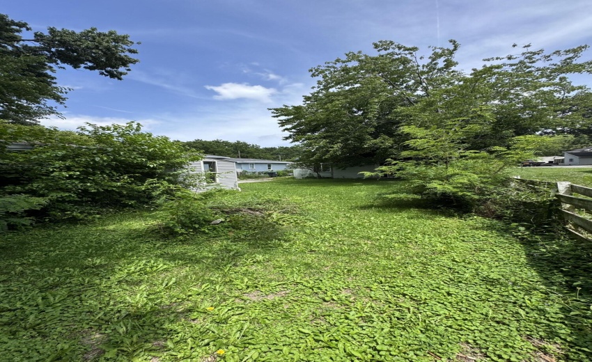yard