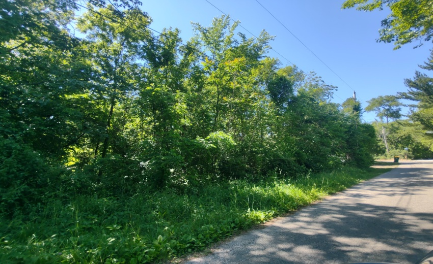 IMG_20260602_151956446_HDR