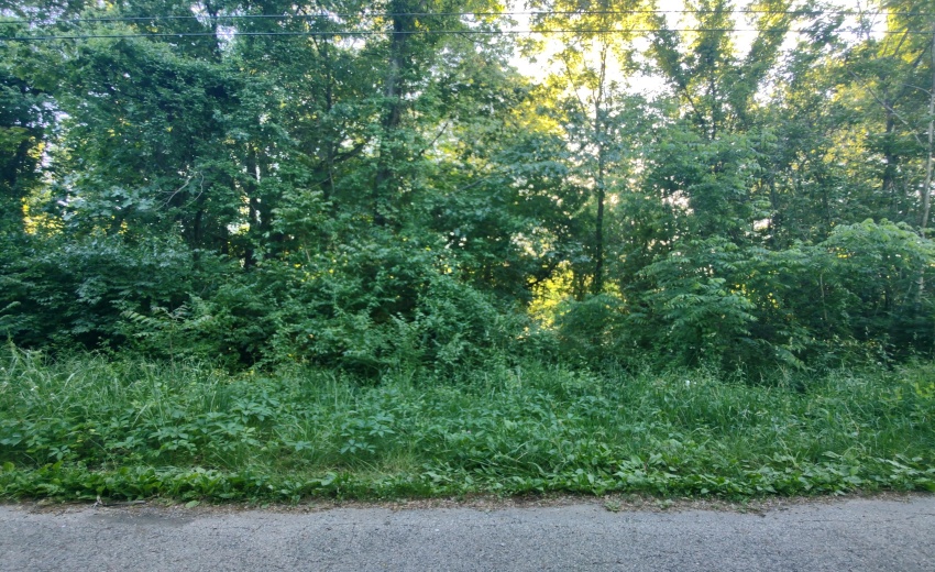 IMG_20260602_184246965