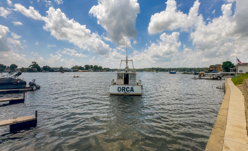 Orca in Pine Lake