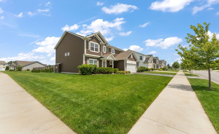 52-web-or-mls-DSC09972