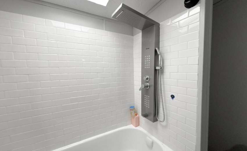 main bath 2