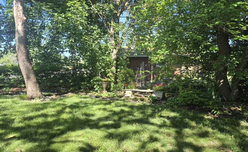side yard