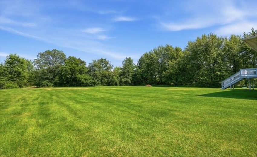 15465 backyard