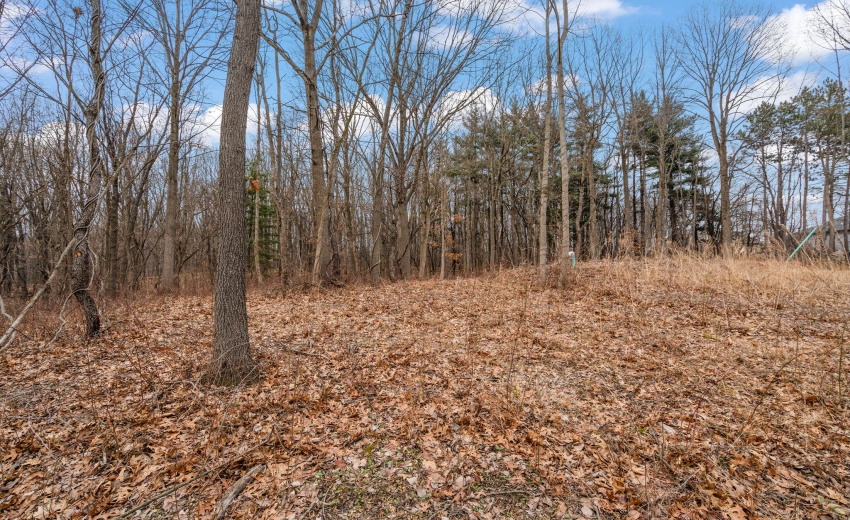 98-web-or-mls-DSC01818