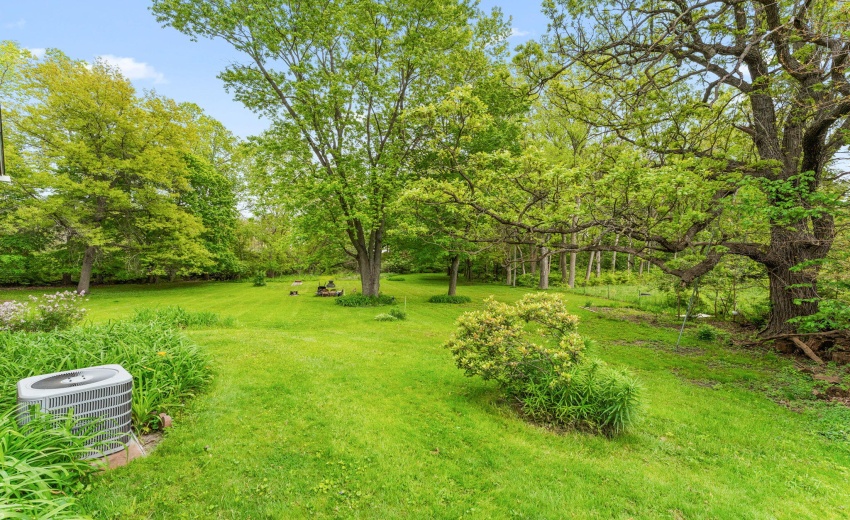 25-web-or-mls-DSC06211