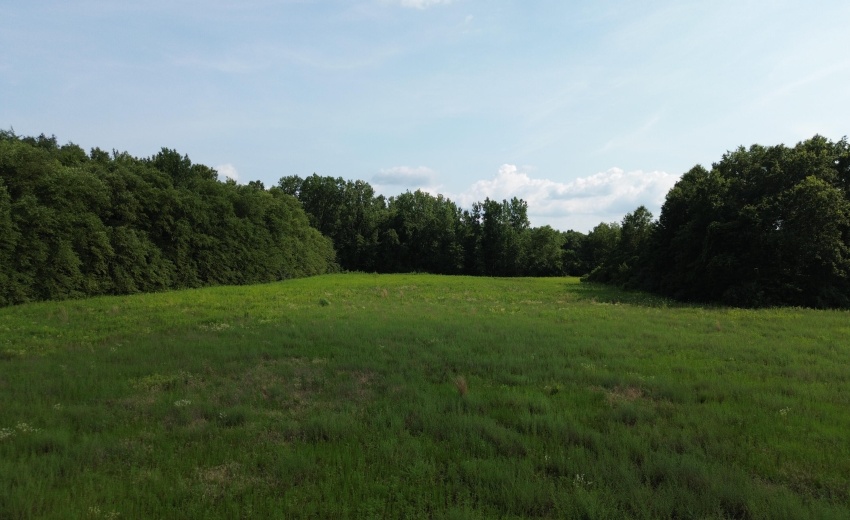 DJI_0721