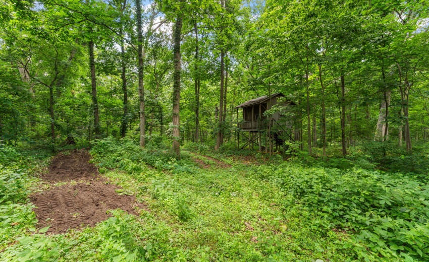 43-web-or-mls-DSC04513