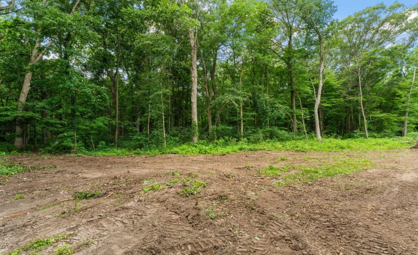 44-web-or-mls-DSC04519
