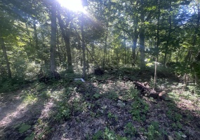 13926 Fairbanks Street, Cedar Lake, Indiana, ,Land,For Sale,Fairbanks,NRA842234 13926 Fairbanks Street, Cedar Lake, Indiana, ,Land,For Sale,Fairbanks,NRA842234