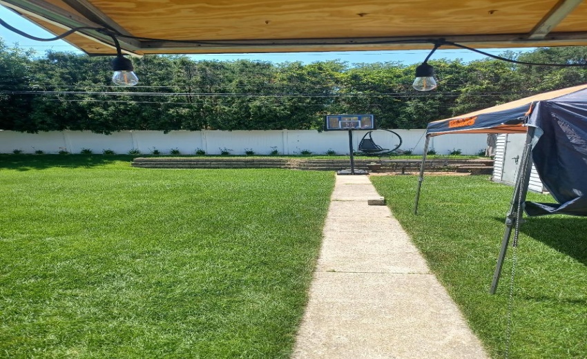 backyard