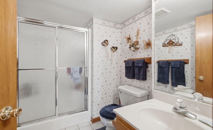 lower level 3/4 bathroom