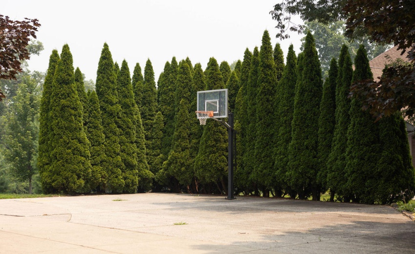 BASKETBALL