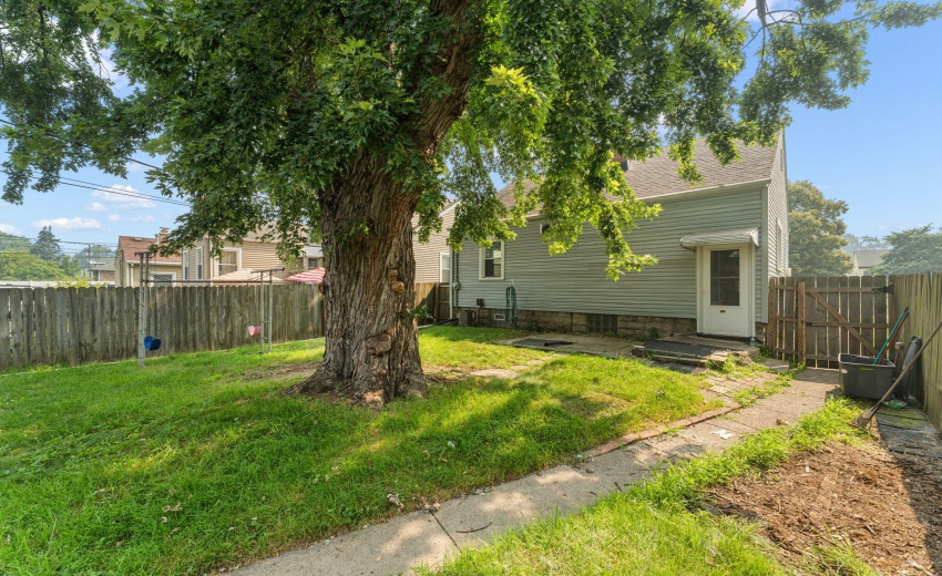 15-web-or-mls-DSC07493