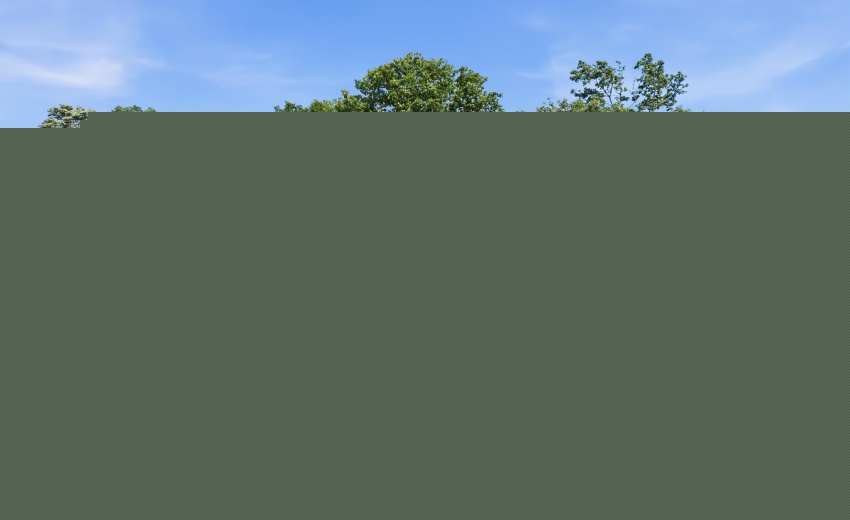 DJI_20260616145234_0617_D_autoremove_408